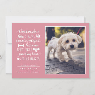 Nyhetsmeddelande om parenteser| Rosa Julkort