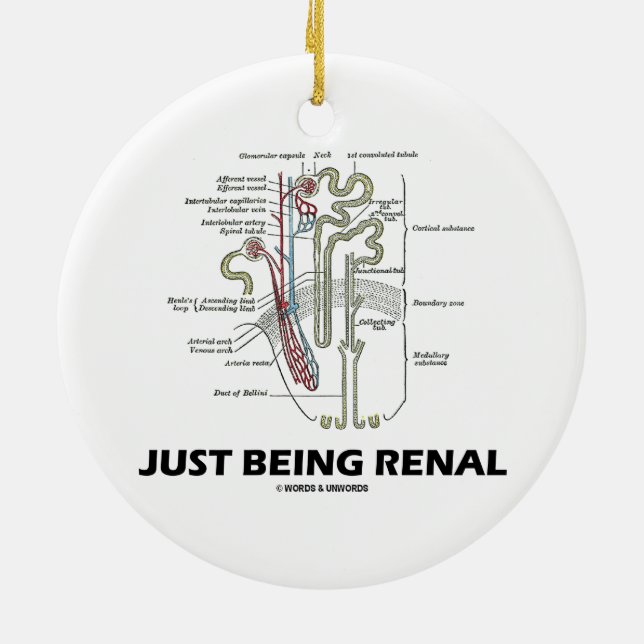 Nyligen renal (Nephron Renal Humor) Julgransprydnad Keramik (Baksidan)