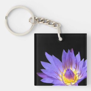 Nymphaea
