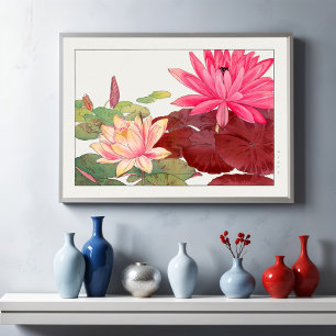 Nymphaea lotus, Blommigt Poster