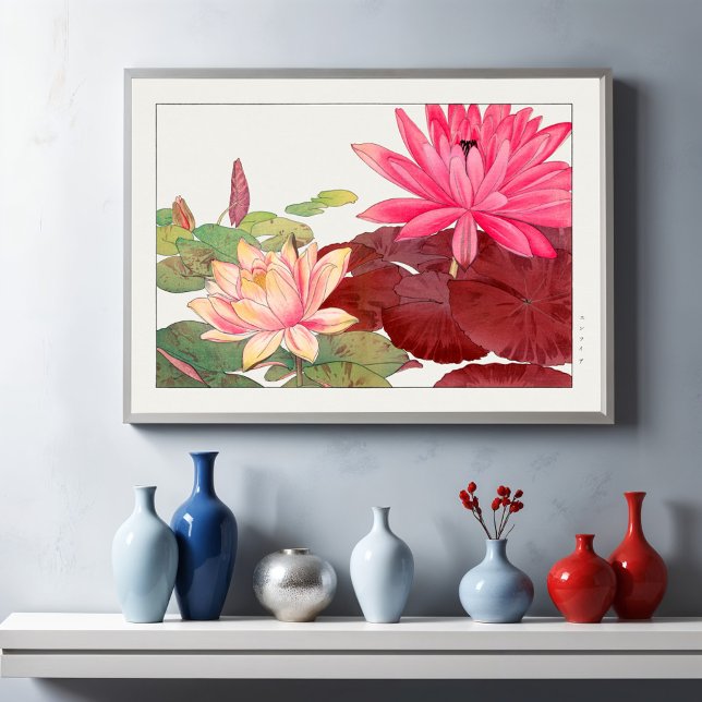 Nymphaea lotus, Blommigt Poster (Skapare uppladdad)