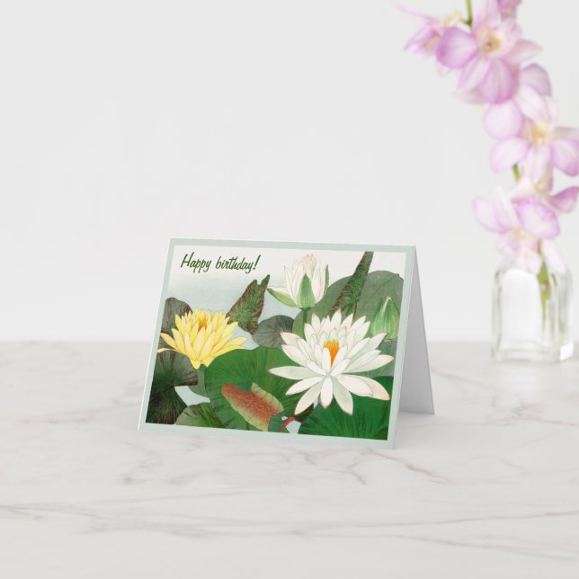 Nymphaea lotus, Grattis på födelsedagen Kort (Orkide)