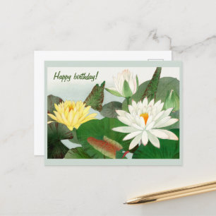 Nymphaea lotus , Grattis på födelsedagen  Vykort