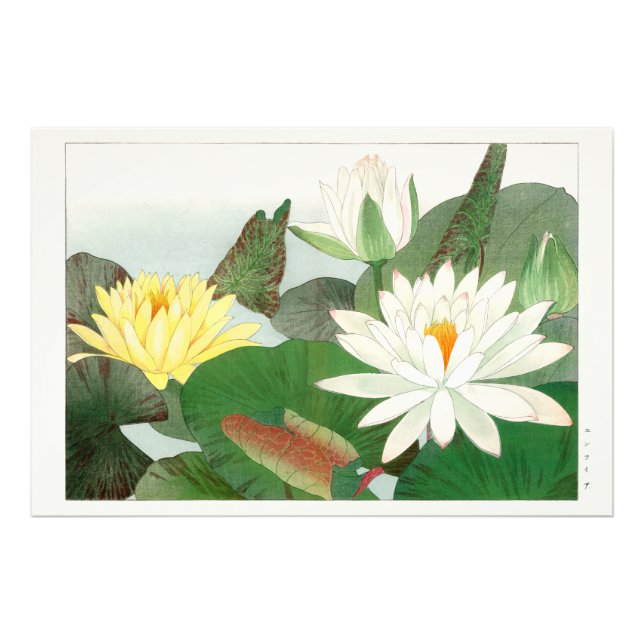 Nymphaea lotus, japanskt träsnitt, 1917 fototryck (Framsidan)