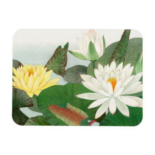 Nymphaea lotus, japanskt träsnitt, 1917 magnet