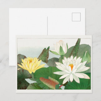 Nymphaea lotus, japanskt träsnitt, 1917 vykort