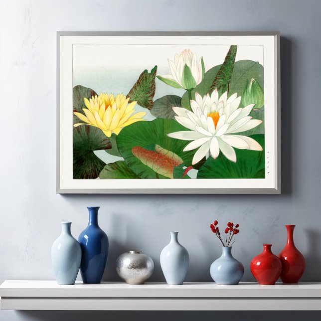 Nymphaea lotus poster (Skapare uppladdad)