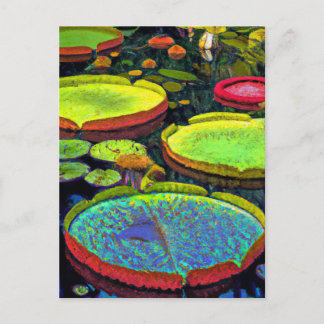 Nymphaeales Postcard Vykort