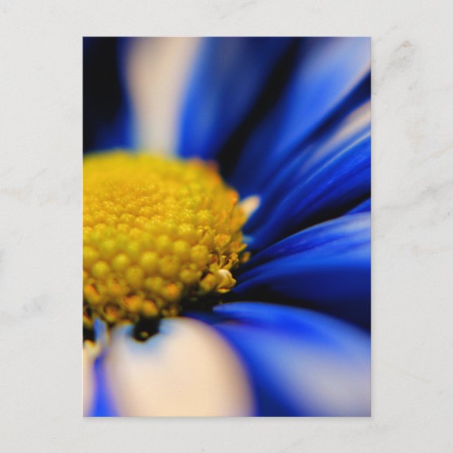 Nypa Vykort (Framsida)