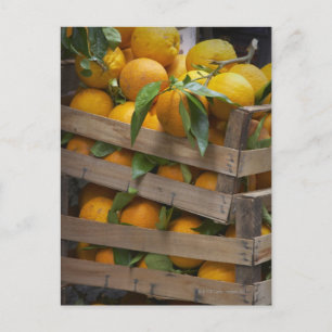 Nyplockade orangar vykort