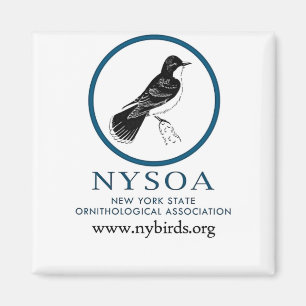 NYSOA Vattenflaska Magnet