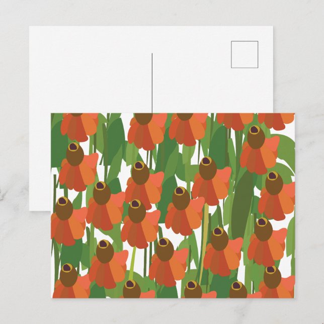Nysört Vildblomma Blomma Vykort (Fram/baksida)