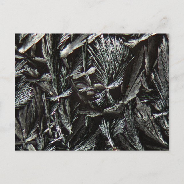 Nystatin-kristaller under Microskop Vykort (Framsida)