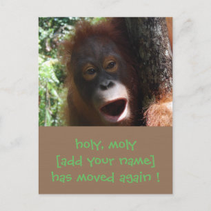 Nytt adress meddelande för rolig flyttaändring