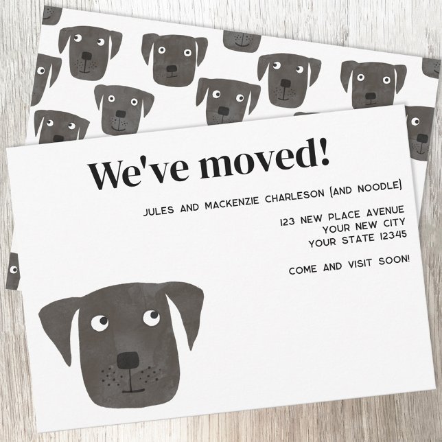 Nytt adress meddelande från Labrador Retriever Hun (Black Labrador Retriever Dog new home moving change of address announcement)