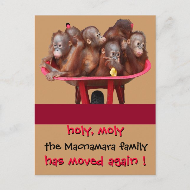 Nytt adress meddelande om roligtens Flytta (Framsida)