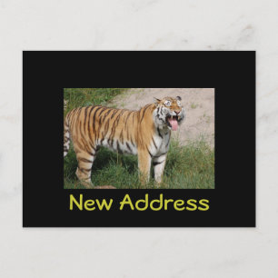 "Nytt adress" tigervykort Meddelande Vykort