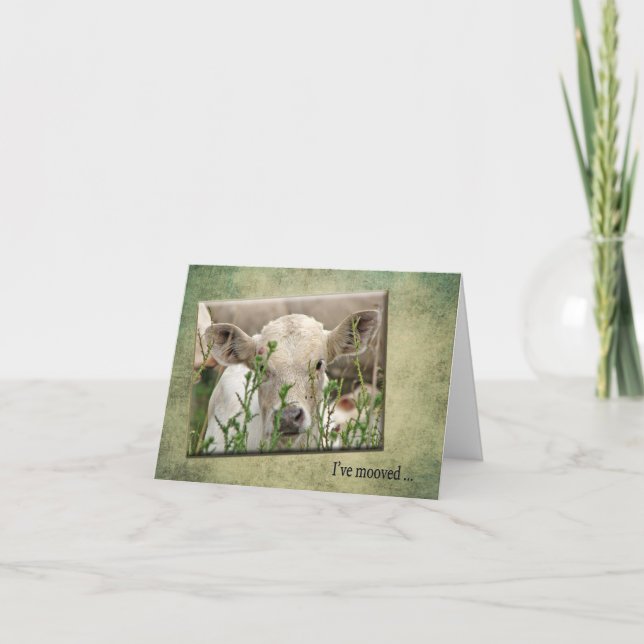 Nytt adress tillkännagivande meddelande (Framsida)