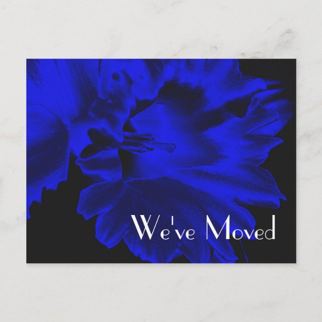 Nytt adress vykort för elektrisk blå daffodil-Blom (Framsida)