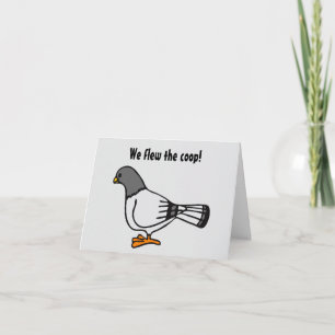 Nytt adress vykort för Grått Pigeon-Tecknad