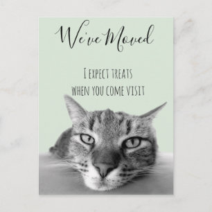 Nytt adressmeddelande från rolig katt meddelande vykort