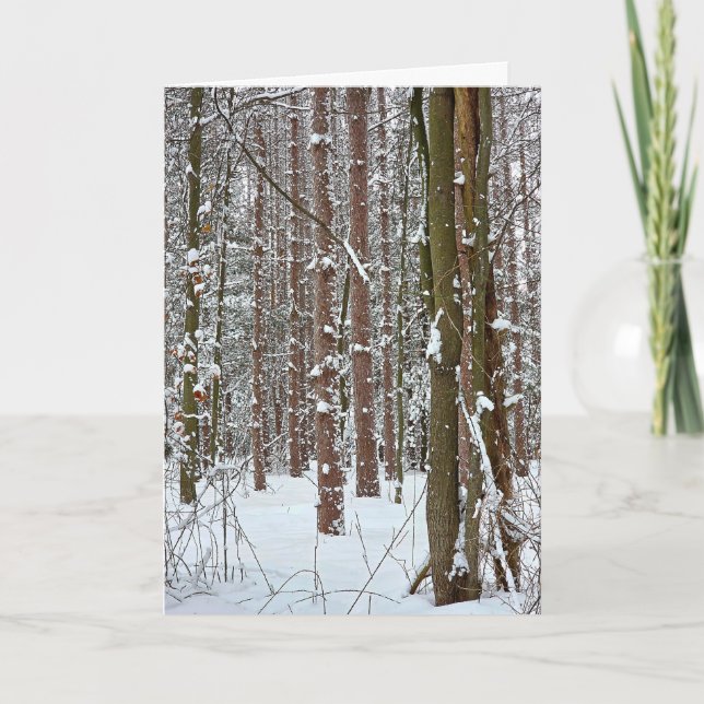 Nytt År Färsk Snöfall På Skogsträd Kort (Framsida)