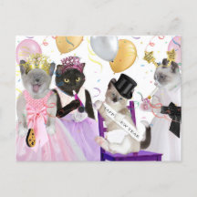 Nytt års Kitten Postcard