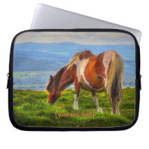 Nytt blod på Dartmoor