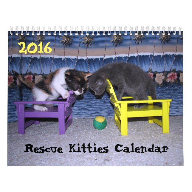 ****NYTT FÖR 2016!!!!! **** Rädding Kattunge Kalen Kalender (Omslag)
