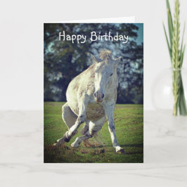 Nytt Forest White Pony Funny Pose Birthday-kort Kort