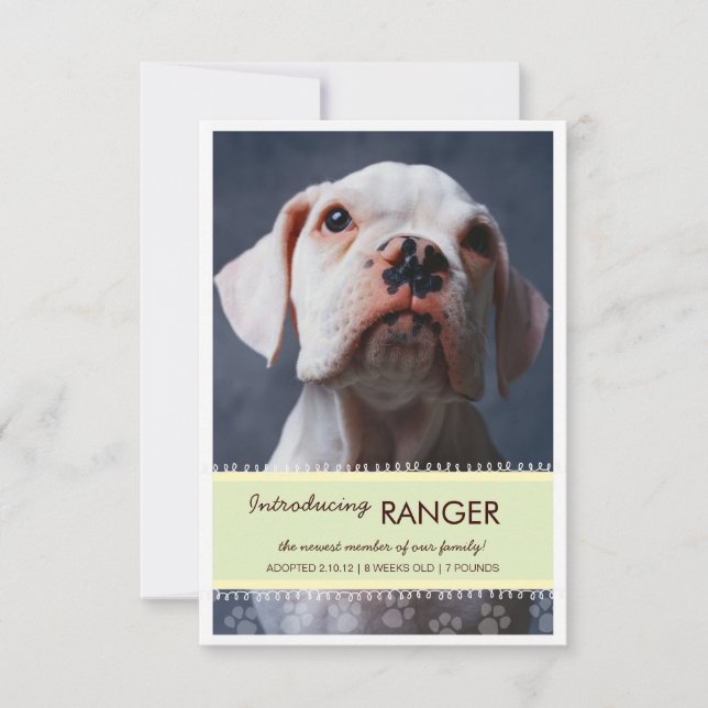 Nytt foto på banderollen Pet Male Grönt Inbjudningar (Framsida)