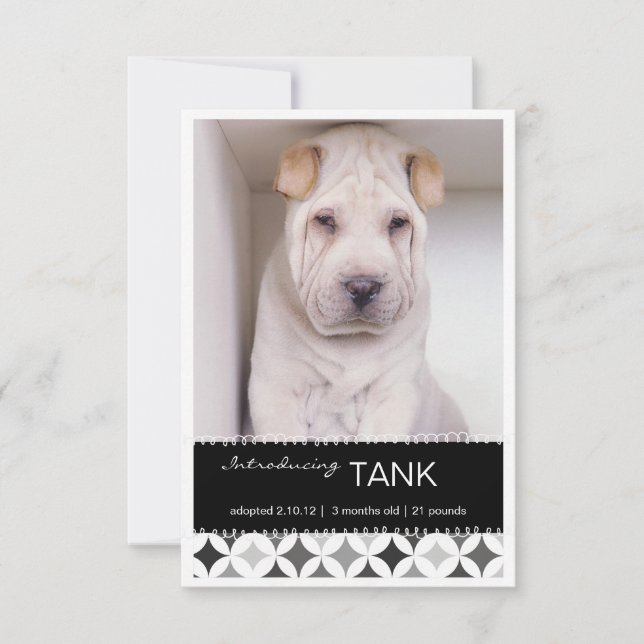 Nytt fotomeddelande för Retro-cirklar för sällskap Meddelande (Framsida)