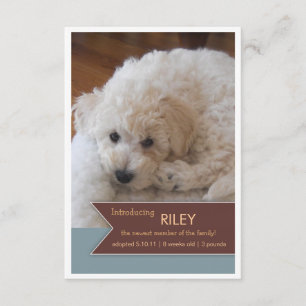 Nytt fotomeddelande om Pet 2 Photo Brown-banderoll Meddelande