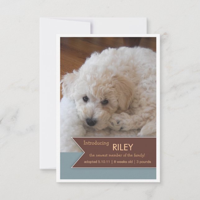 Nytt fotomeddelande om Pet 2 Photo Brown-banderoll Meddelande (Framsida)