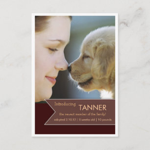 Nytt fotomeddelande om Pet Brown Banner Meddelande