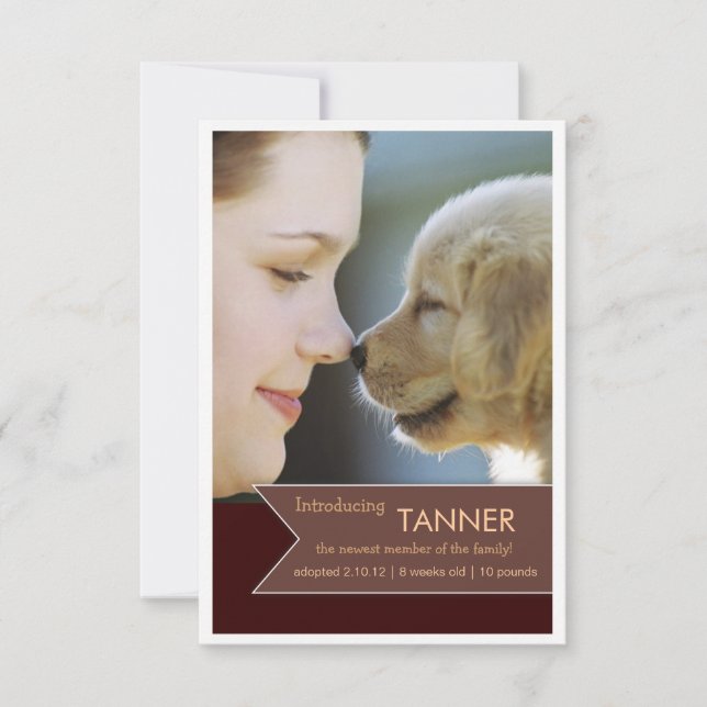 Nytt fotomeddelande om Pet Brown Banner Meddelande (Framsida)