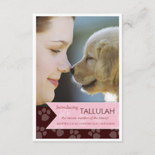 Nytt fotomeddelande om Pet Brown Rosa Banner Meddelande