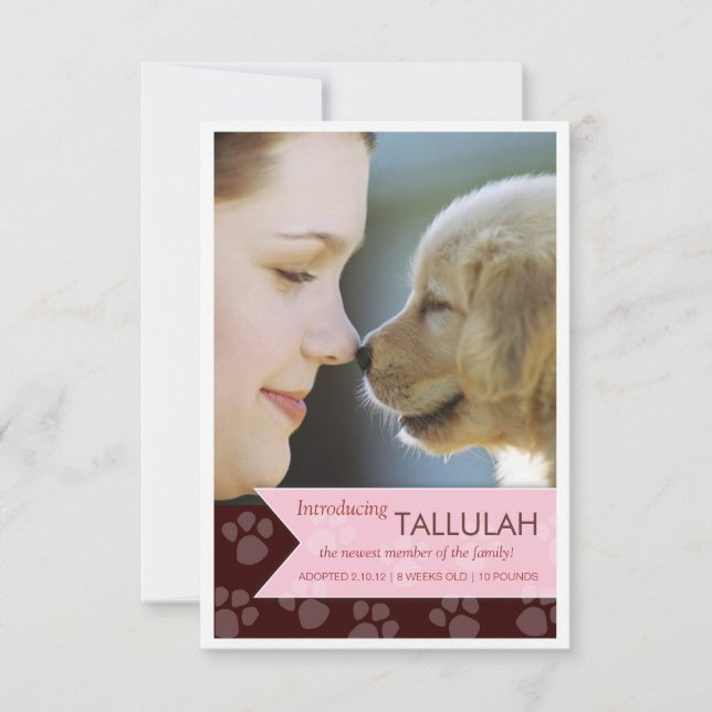 Nytt fotomeddelande om Pet Brown Rosa Banner Meddelande (Framsida)