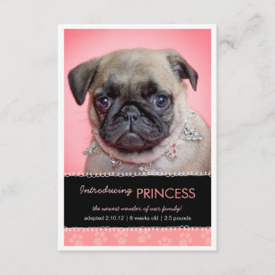 Nytt fotomeddelande om Pet Rosa Tass avtryck Meddelande