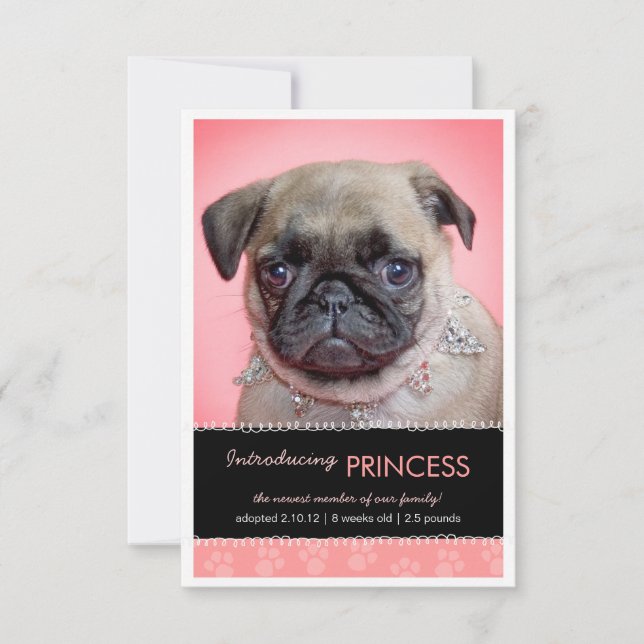 Nytt fotomeddelande om Pet Rosa Tass avtryck Meddelande (Framsida)