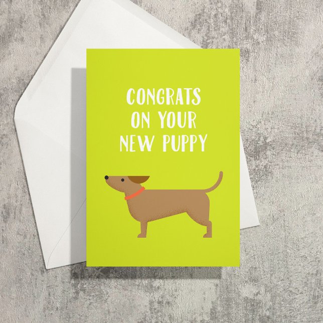 Nytt Gratulerart upphöjningskort Kort (Dachshund puppy congrats on the new puppy and a lifetime of collecting poop in tiny bags)