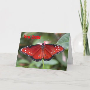 Nytt hem-Adress-kort med drottning Butterfly Meddelande