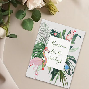 Nytt hem för Tropical Flamingo i Helgdag Vykort