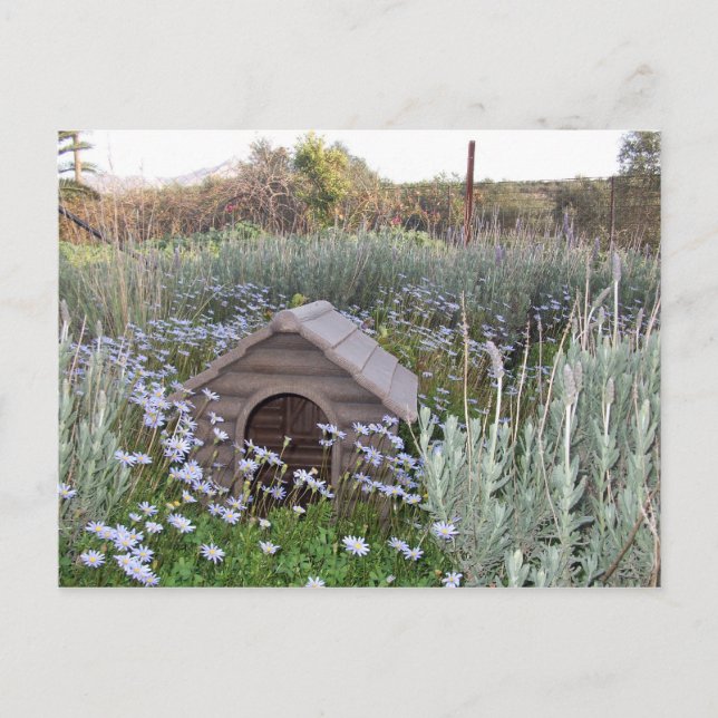 Nytt Hem Meddelande Vykort (Framsida)