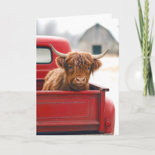 Nytt hus Highlandko i en röd retro pickup Kort