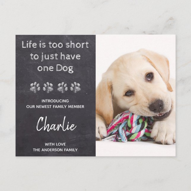Nytt husdjur Ny valp Anpassat foto Hund Meddelande Vykort (Framsida)