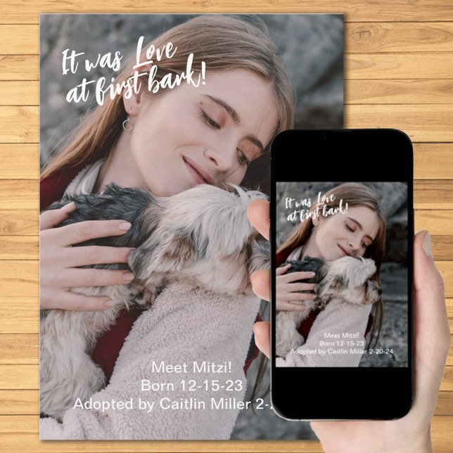 Nytt husdjursfoto meddelande (Skapare uppladdad)