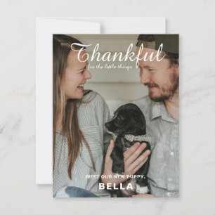 Nytt husdjursfoto till Thanksgiving Julkort