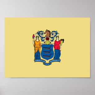 Nytt - jerseyflagga poster