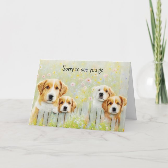 Nytt jobbkort för Cute Group Hundar Pension Kort (Framsida)